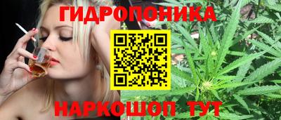 прущие крисы Абакан
