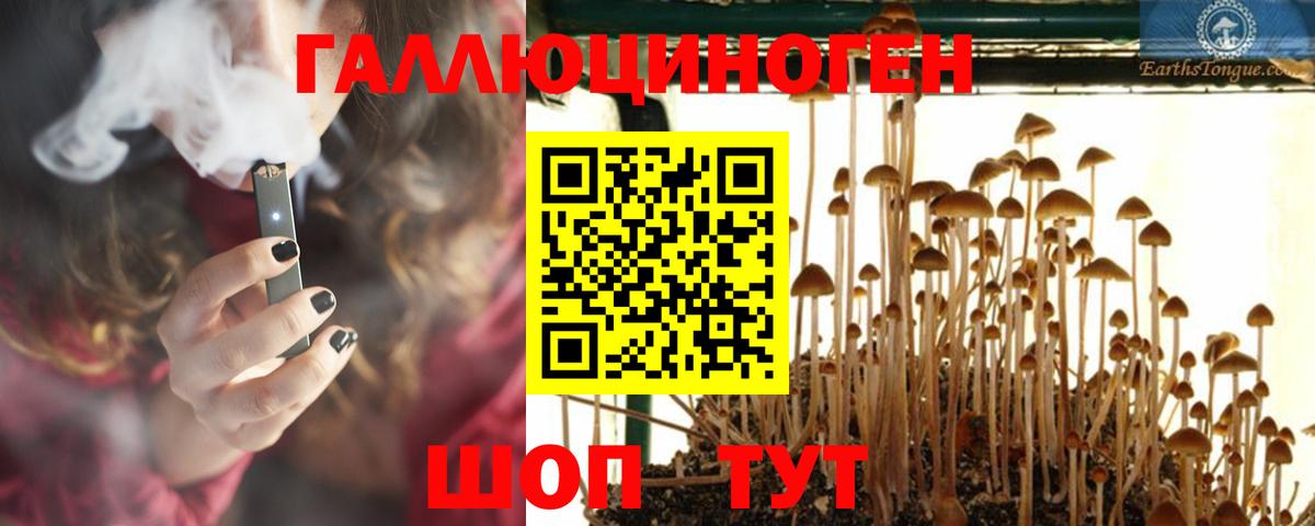 Галлюциногенные грибы прущие грибы  Галлюциногенные грибы Psilocybe  Абинск  Вход с VPN 